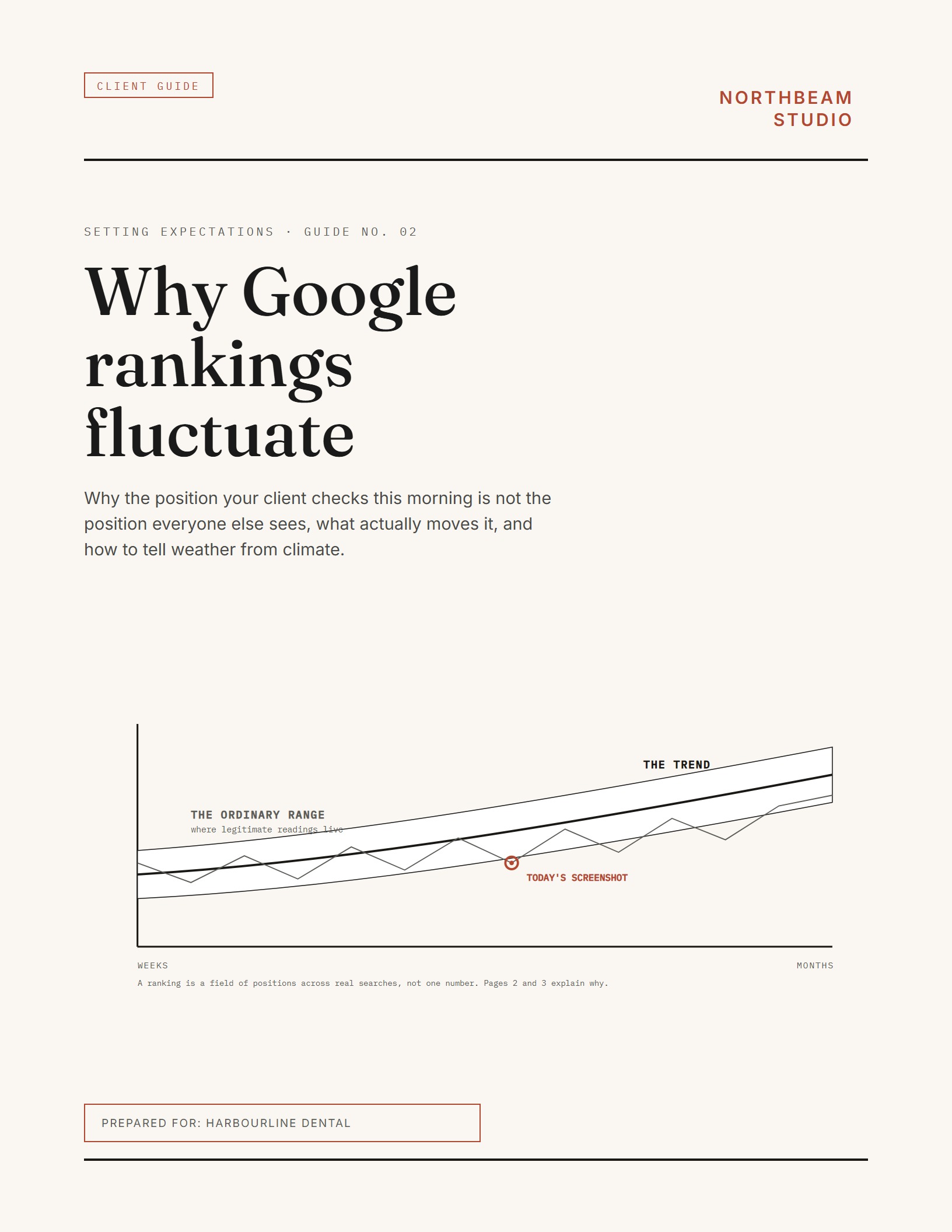 Why Google rankings fluctuate: front cover rebranded with the illustrative buyer accent and logo
